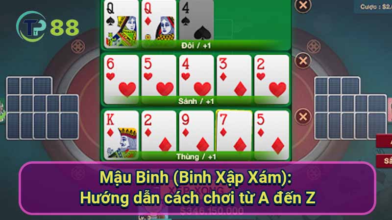 Mau-Binh-(Binh-Xap-Xam)