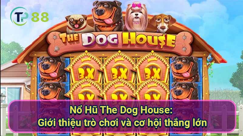 No-Hu-The-Dog-House-1