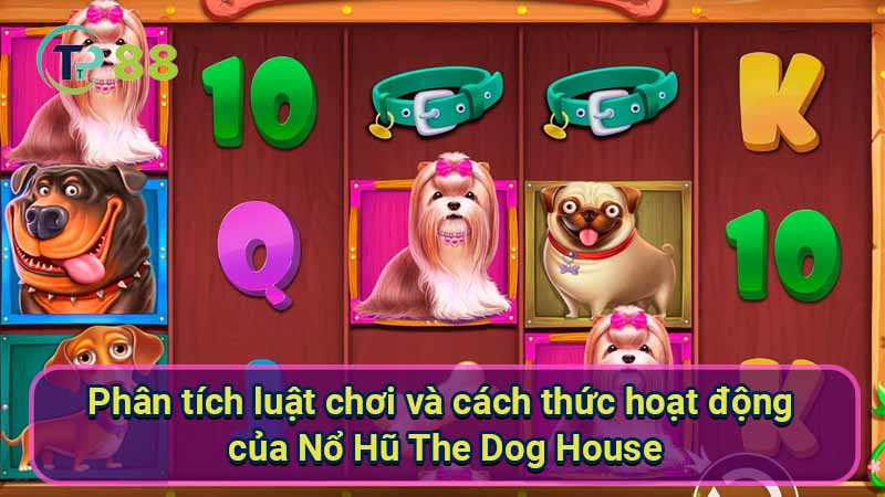 No-Hu-The-Dog-House-2