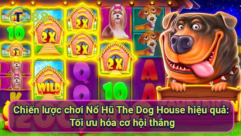 No-Hu-The-Dog-House-3