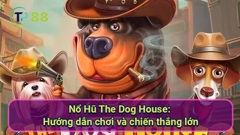 No-Hu-The-Dog-House