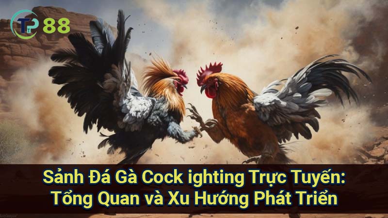 da-ga-cock-ighting-1