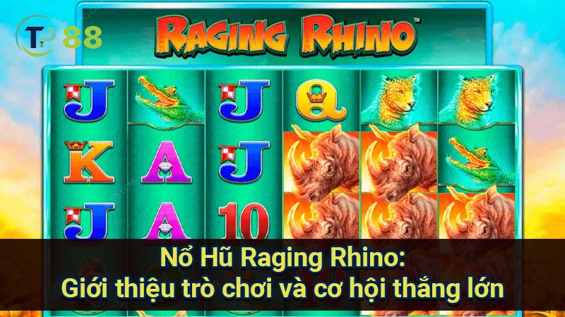 no-hu-raging-rhino-1